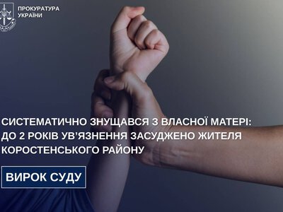 Систематично знущався з власної матері: до 2 років ув’язнення засуджено жителя Коростенського району