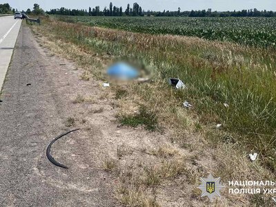 Поліцейські встановлюють обставини смертельної ДТП на Коростенщині