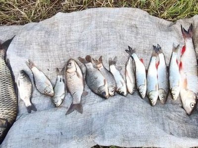  Використання заборонених знарядь лову: на Херсонщині зафіксували 4 порушення правил рибальства 