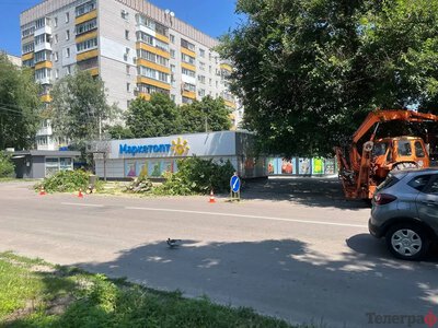 На їх місці мають бути нові дерева: Малецький про спиляні у центрі каштани