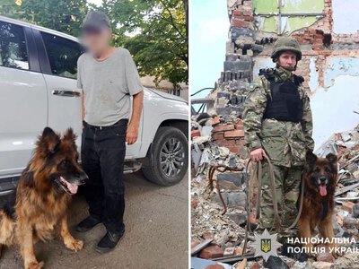 Службовий пес допоміг розшукати зниклого пенсіонера у Краматорську