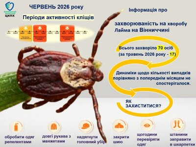На Вінниччині різко зросла захворюваність на хворобу Лайма: за місяць зафіксували 70 випадків