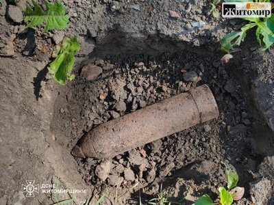 У лісі на Житомирщині селяни натрапили на артилерійський снаряд