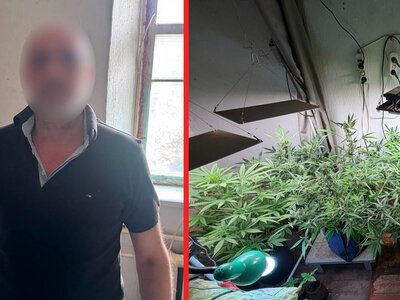 У Хмільницькому районі чоловік вдома вирощував рослини коноплі