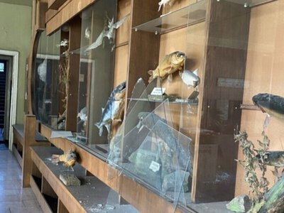 Пошкоджений російським ударом «Акваріум» у Дніпрі оголосив збір коштів на відновлення