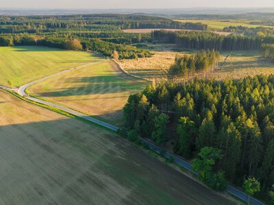 Названо області, де за пай платять найбільше