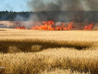 РФ атакувала Чернігівщину дронами: горіли пшеничне поле, будинки та вантажівка