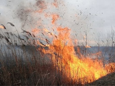П’ять пожеж в екосистемах ліквідували за добу на Рівненщині