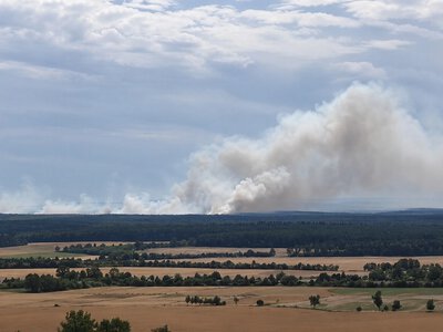 У Німеччині палає колишній полігон: вогонь не можуть загасити через снаряди