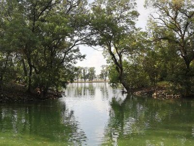  В окупованій Асканії-Нова на Херсонщині заявили про обміління ставків 