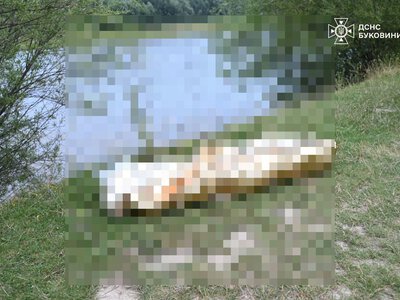 На Буковині завершили пошуки 8-річного хлопчика: дитину знайшли загиблою
