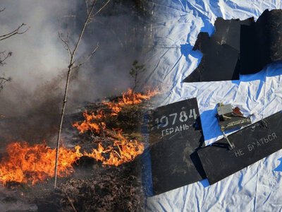 На кордоні з Білоруссю горів острів: пожежу гасили три дні