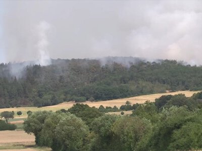 ​Масштабна лісова пожежа спалахнула на колишньому військовому полігоні у Німеччині