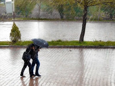 Якою буде погода на Рівненщині 19 липня. Синоптики обіцяють дощі і грози