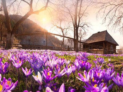 Фотоконкурс «Закарпатська весна» визначив найкращі світлини року (ФОТО)