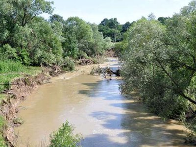 Мальовнича річка, про яку мало хто знає: чим унікальна буковинська Міхідра