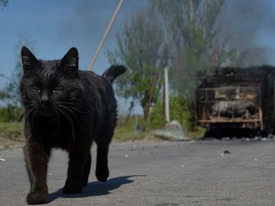 Загалом від початку цієї доби на фронті відбулося 193 бойових зіткнення