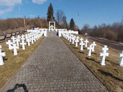 Чому Варшава та Будапешт підсвідомо заздрять збройному успіху ЗСУ і панічно бояться