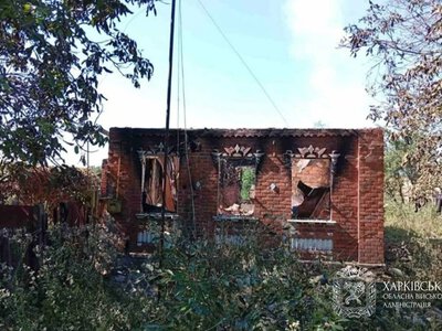 Синєгубов про обстріли Харківщини: 17 бомб прилетіли за добу