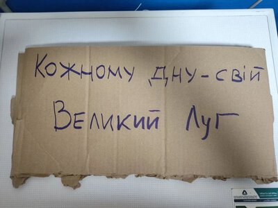Херсонський науковець Іван Мойсієнко протестував проти звільнення Федорова на дні Каховського водосховища