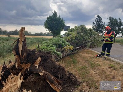 Чехію накрили сильні грози: вітер валить дерева та зриває дахи