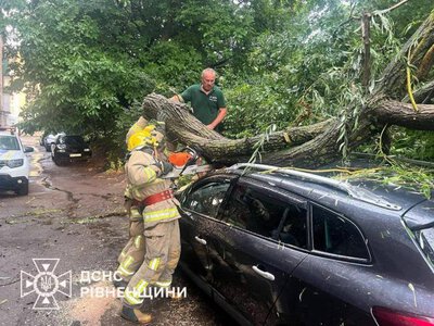 У Дубні через негоду дерево впало на легковик (ФОТО, ВІДЕО)