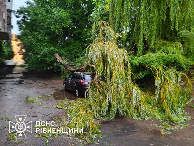 На Рівненщині внаслідок негоди пошкоджено автомобіль