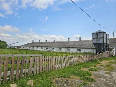 Фермери можуть викупити землю без аукціону: хто має право та які документи потрібні