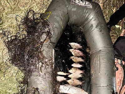 На Миколаївщині зловили браконьєра