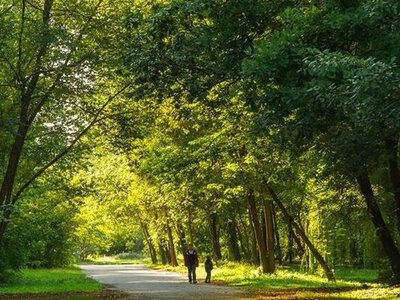 Періоди спеки та похолодання: синоптики – про третю декаду липня