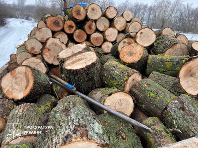 Нарубав на нову справу: під Куп’янськом затримали колишнього колаборанта
