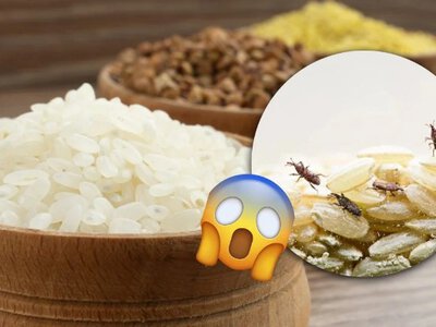 Чи можна їсти крупу з жучками? Експерти дали неочікувану відповідь