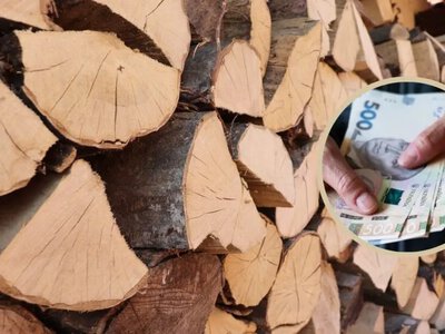 Субсидія на дрова: допомога для українців