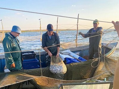 Інспектори перевірили у Миколаївській області промисловий вилов на Бузькому лимані