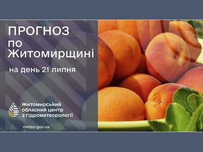 Погода сьогодні на Житомирщині: Без істотних опадів