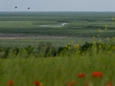 Понад 100 організацій підтримали номінацію Великого Лугу до ЮНЕСКО