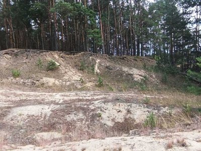 Можливі порушення природоохоронного законодавства перевіряли у Клесівській громаді