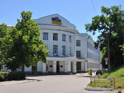 Вступ-2026: хто може скористатися квотами та пільгами під час вступу на бюджет