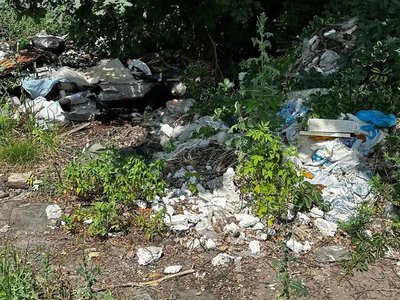 На Рівненщині екоінспектори виявили порушення під час патрулювань