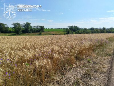 На Миколаївщині прокуратура через суд вимагає повернути закладам освіти понад 69 га землі, які ті протиправно передали під посіви
