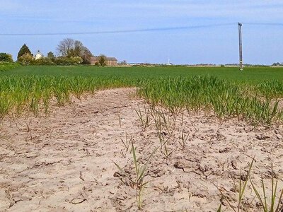 Частина Великої Британії опинилася за крок до посухи