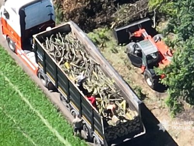 На Полтавщині поліція викрила масштабну схему незаконної лісозаготівлі