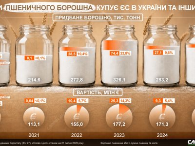 Україна суттєво збільшила експорт пшеничного борошна до ЄС за роки вторгнення