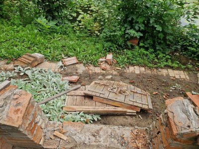 У дендропарку Сторожинецького коледжу знищили одну з локацій, якій понад 40 років