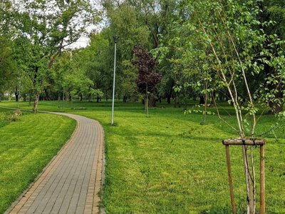 Аукціони на торгівлю у львівських парках проведуть повторно