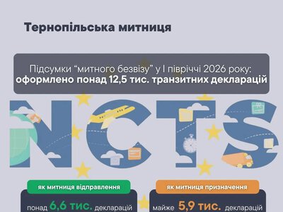 «Митний безвіз»: Тернопільська митниця опрацювала понад 12,5 тисячі декларацій