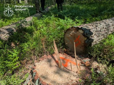 Суд зобов’язав відшкодувати майже 4,8 млн грн за незаконну вирубку лісу на Рівненщині