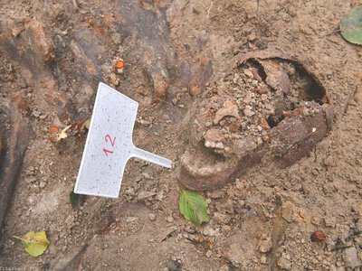 Без трун і з слідами травм: На Волині розкопали таємне поховання 1943 року