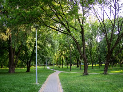 На Львівщині прогнозують до +24° та погоду без опадів