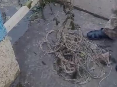 У річці на Рівненщині виявили 50-метрову браконьєрську сітку